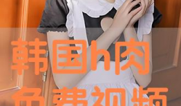 在线观看h视频,h视频观看背后的故事与启示